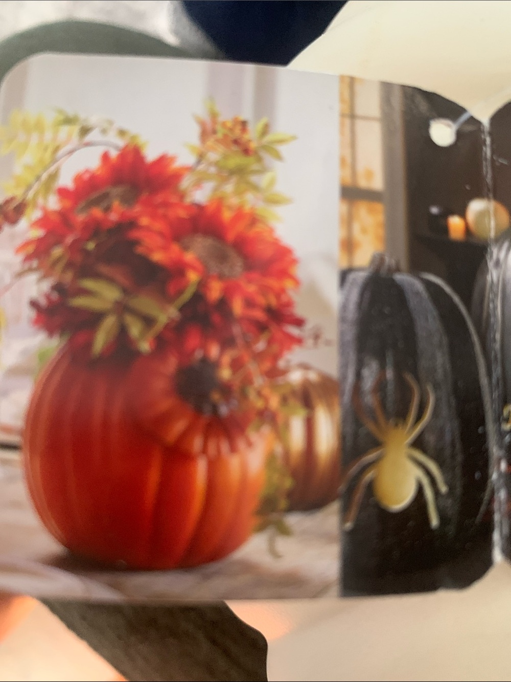 🆕- Ashland Cream Decorative Pumpkin with Gold Destressed Stem Med Size - Picture 7 of 7